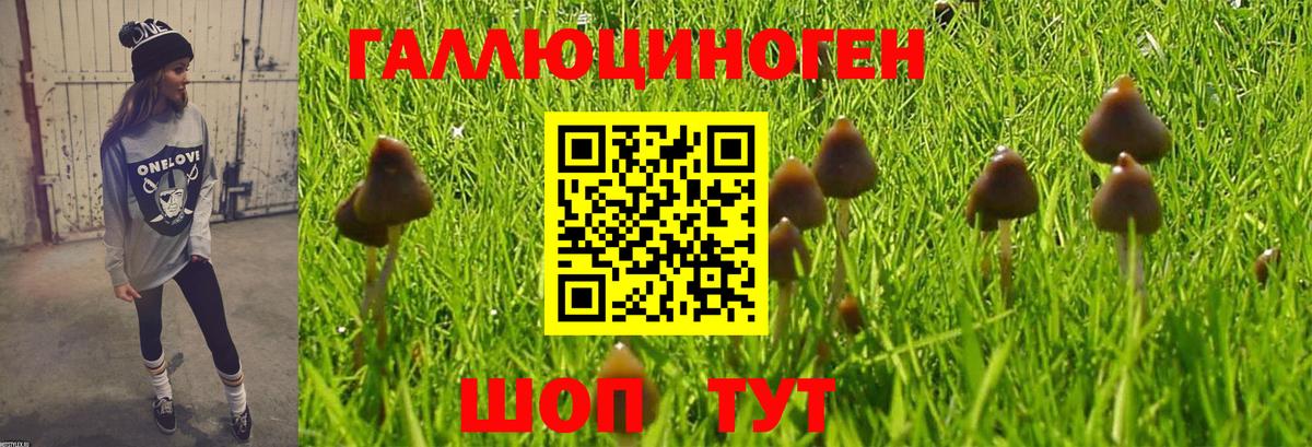 Псилоцибиновые грибы Magic Shrooms Магадан
