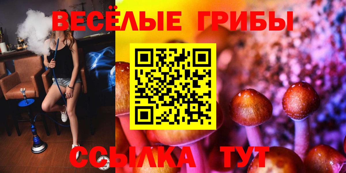 Галлюциногенные грибы ЛСД  Вход с VPN  как найти наркотики  Магадан 